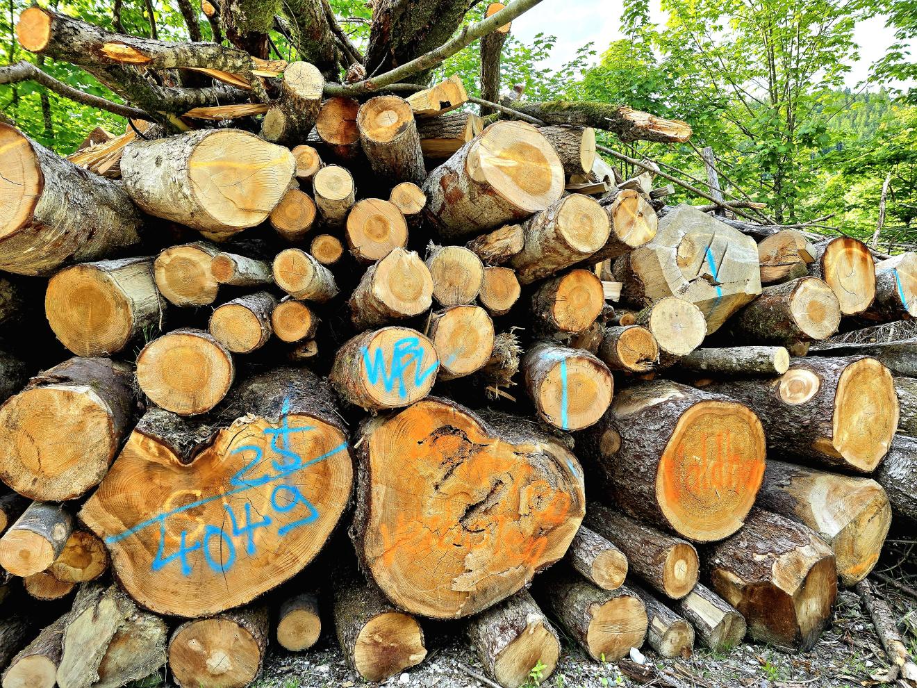 Holzstapel von der Seite fotografiert