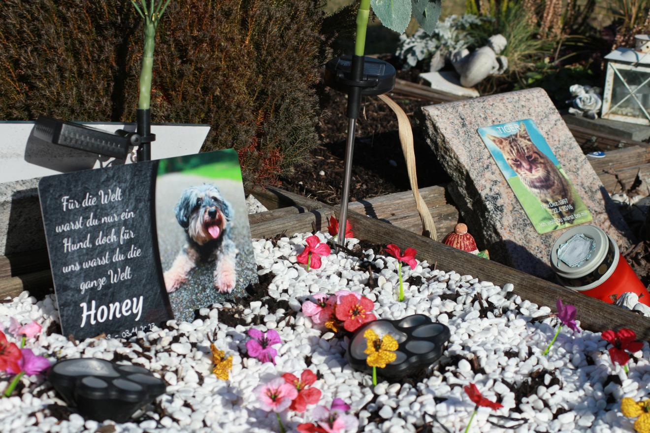 Gräber verstorbener Tiere auf dem Tierfriedhof in Halbergmoos in München