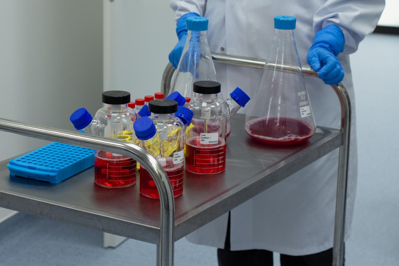 Ein Laborwagen mit verschiedenen Reagengläsern und Bioreaktoren mit Flüssigkeiten.