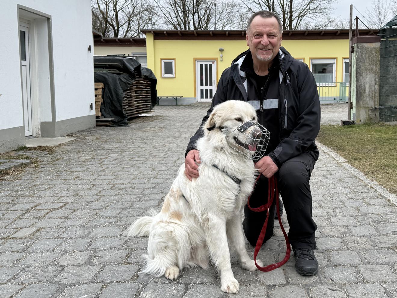 Ein Mann und ein Hund vor der täglichen Gassirunde