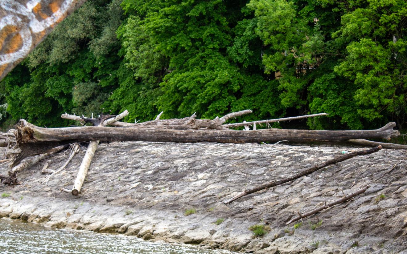 Treibgut_4-Bearbeitet