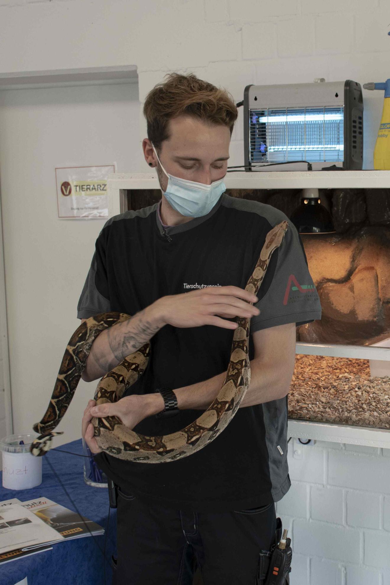 Lukas Kneisel, Tierpflegerleitung, mit dem Exoten "Rocky". (Foto: Julian Pabst)