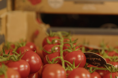 rote Rispentomaten in einer Kiste