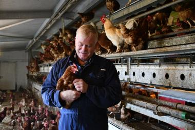 Bertenbauer mit Huhn
