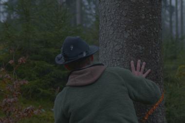 Förster steht im Wald vor Baum