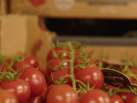 rote Rispentomaten in einer Kiste