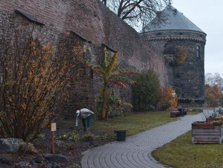 Eine Mitarbeiterin "Klientin" der Perspektive gGmbH bei der Arbeit in der "Essbaren Stadt"