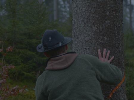 Förster steht im Wald vor Baum