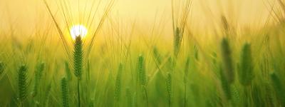 Boilerplate Dummy 1440x810